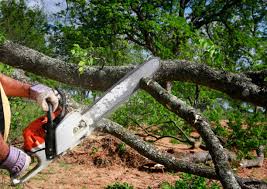 Best Emergency Tree Removal Services  in Mccrory, AR